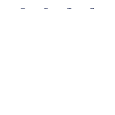 BIC® Media Clic Shine ballpen